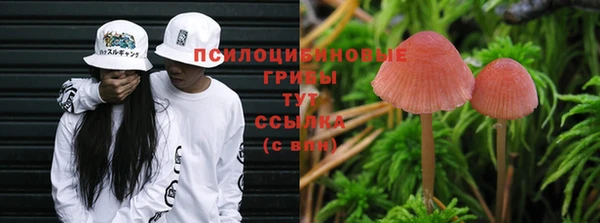 дживик Нягань
