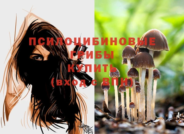 стафф Балахна