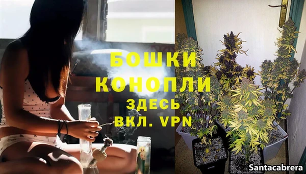 мет Кедровый