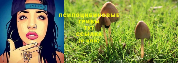 спайс Баксан