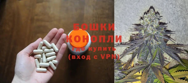 спайс Баксан