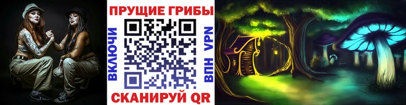 даркнет сайт  Теберда  Псилоцибиновые грибы Psilocybe 