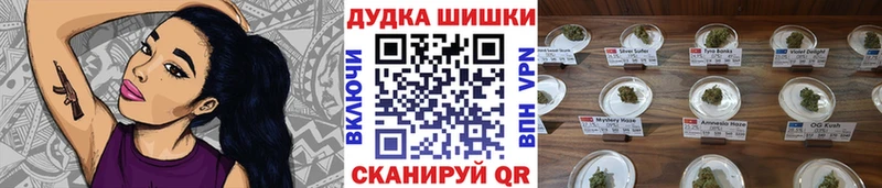 Бошки марихуана гибрид  сколько стоит  omg ссылка  Теберда 